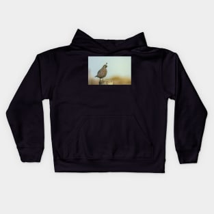 California Quail Kids Hoodie